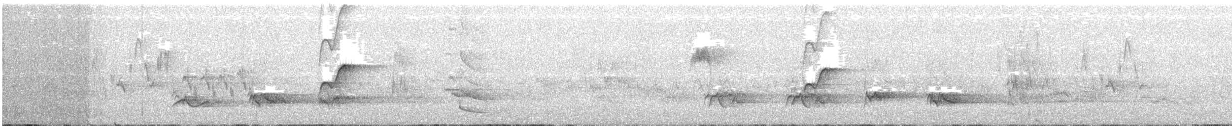 Batı Amerika Sinekkapanı (occidentalis/hellmayri) - ML158852611