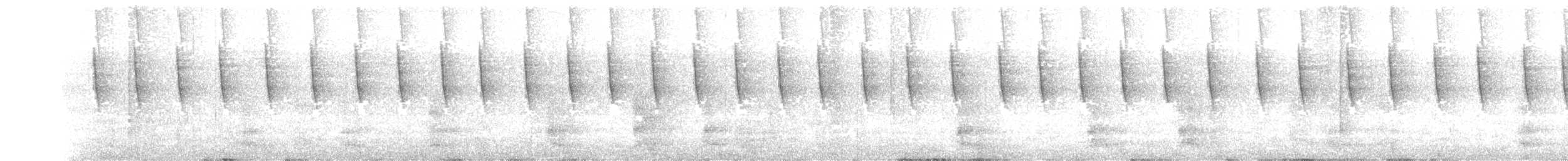 Ariane à ventre gris (groupe tzacatl) - ML158868261