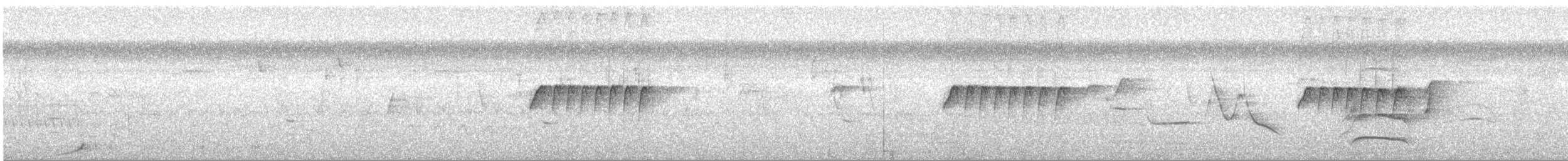 Тёмноспинная якамара - ML158939501