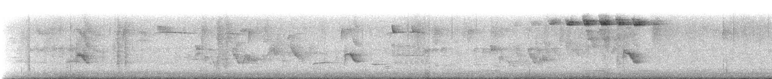 Дрізд-короткодзьоб канадський - ML158952861