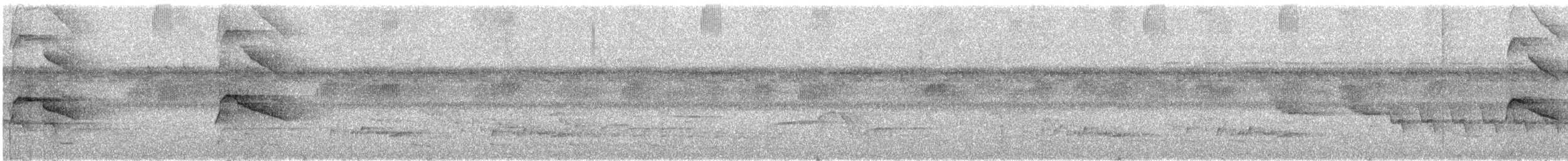 Bicolored Hawk - ML158963601