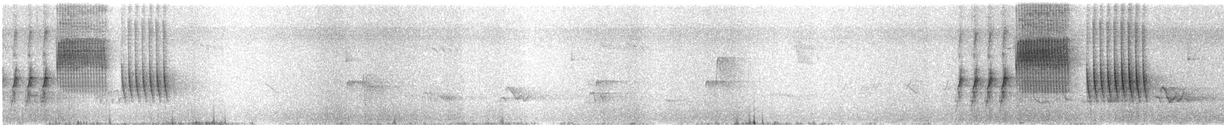 Тауї плямистий x окаї - ML158965211
