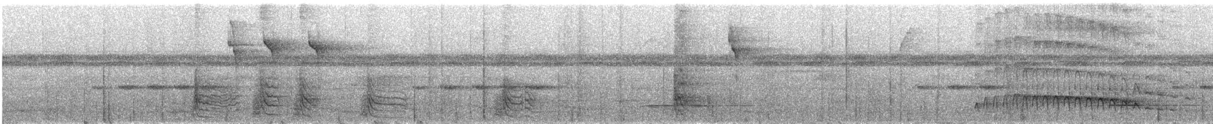 amazonvatretreløper (juruanus/polyzonus) - ML158967511