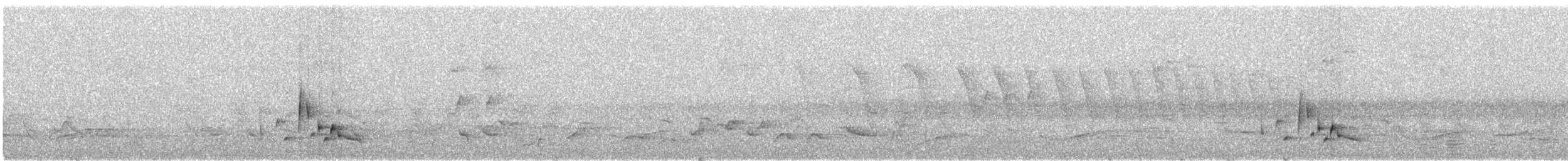 White-bellied Wren (Middle America) - ML158970581