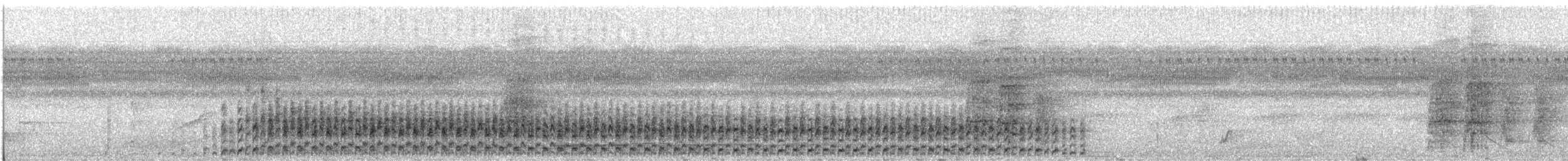 Streifenbauchralle - ML158997001