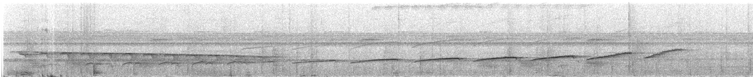 Мурав’янка-куцохвіст велика - ML159000551