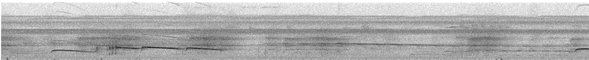Темнохвостый плосконос - ML159005631