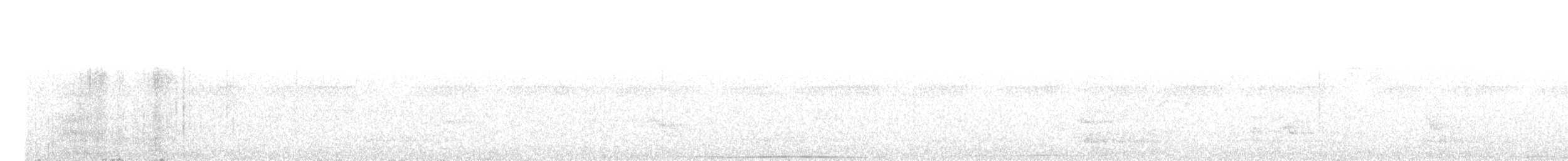 holub andamanský - ML159060141