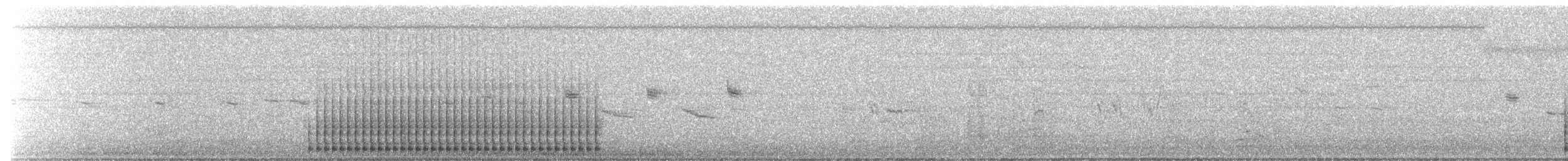 Цоохор тоншуул - ML159072571