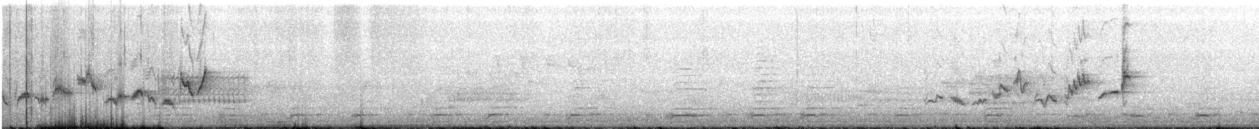 Warbling Vireo - ML159094561