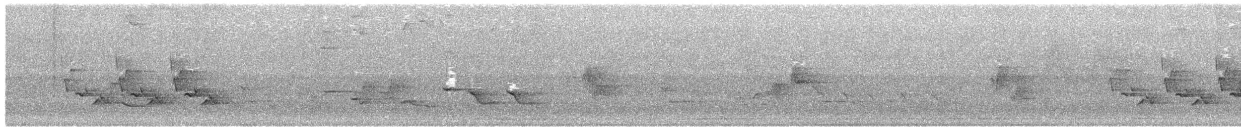 Каролинский крапивник - ML159123051