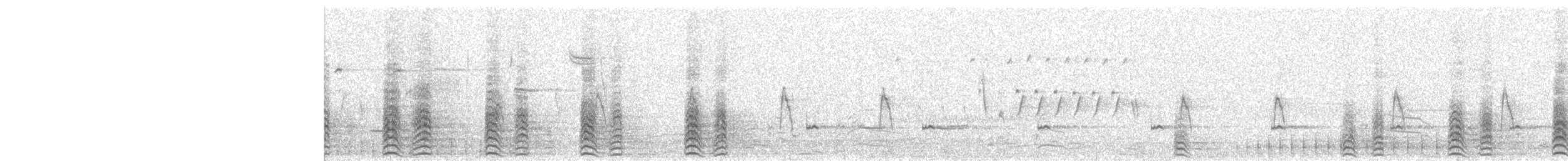 Marzaiola americana - ML159161811