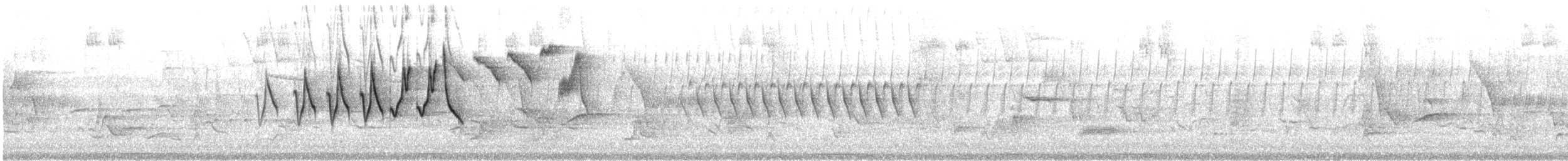 Chestnut-sided Warbler - ML159177351