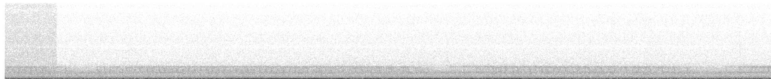 Gray Nightjar - ML159209071