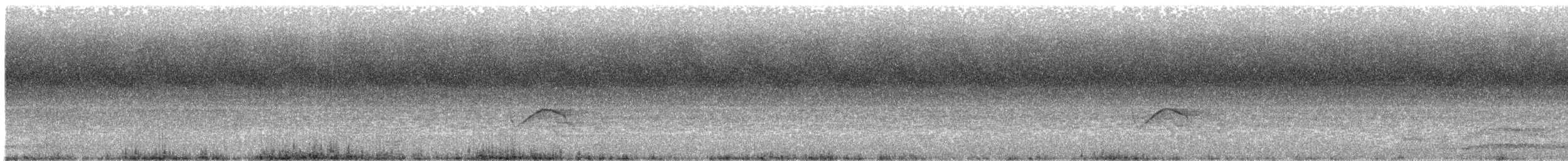 灰頭椋鳥 - ML159271731