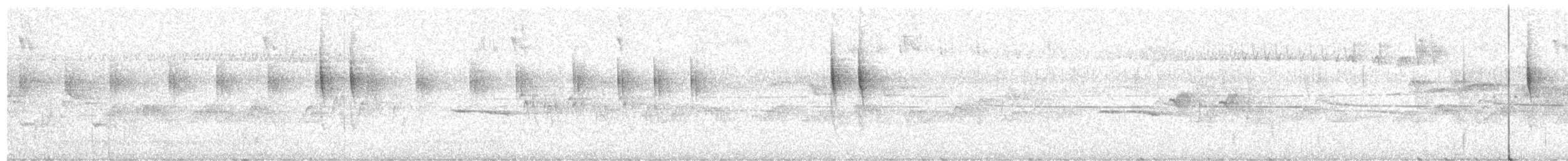 gjerdesmett (troglodytes gr.) - ML159275851