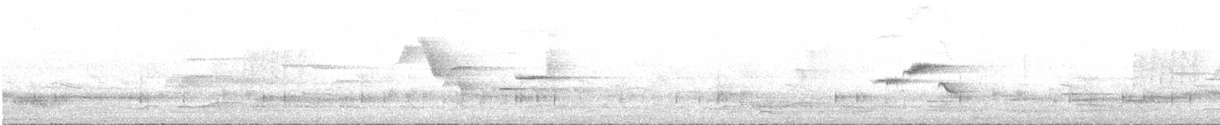 svarthodefluesnapper - ML159281271