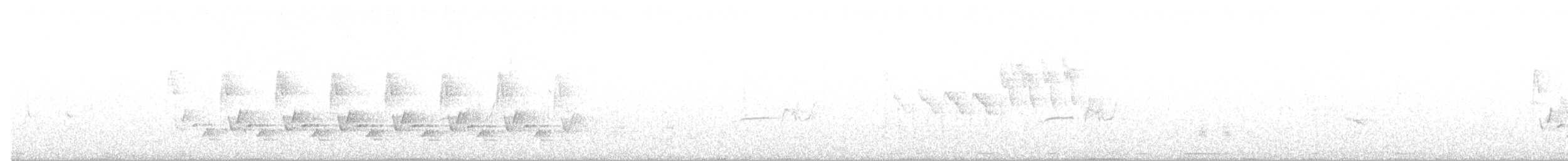 Каролинский крапивник - ML159291271