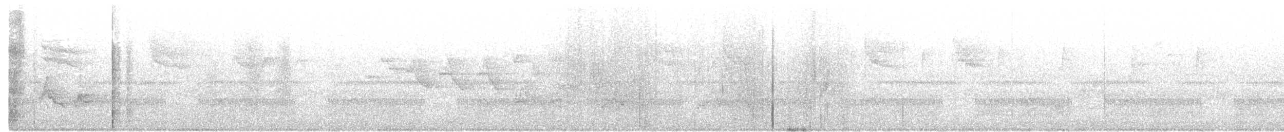 vireo sp. - ML159325341