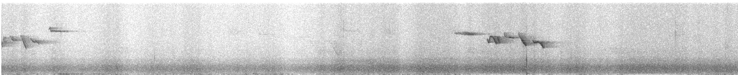 Brown Creeper (pernigra) - ML159332171