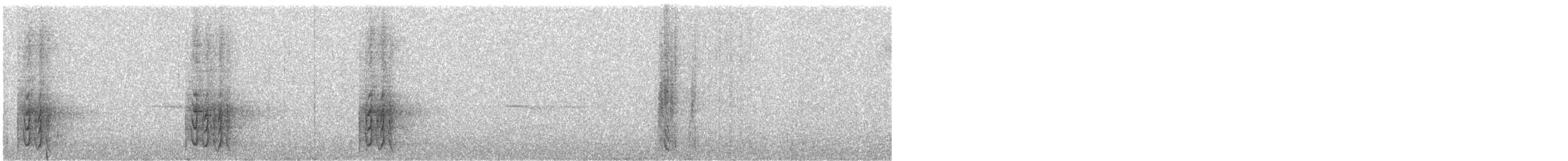 Кокоа плямистий - ML159355611