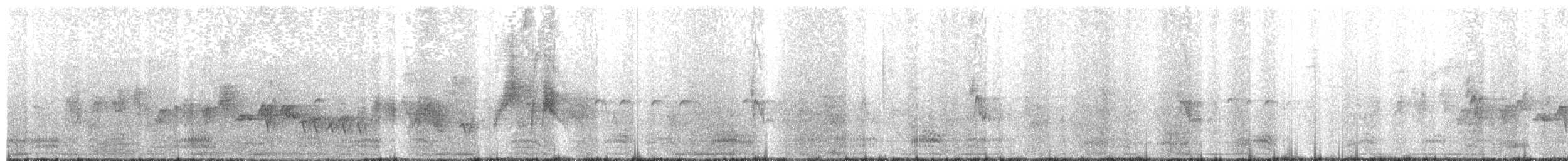 Willow Flycatcher - ML159397801
