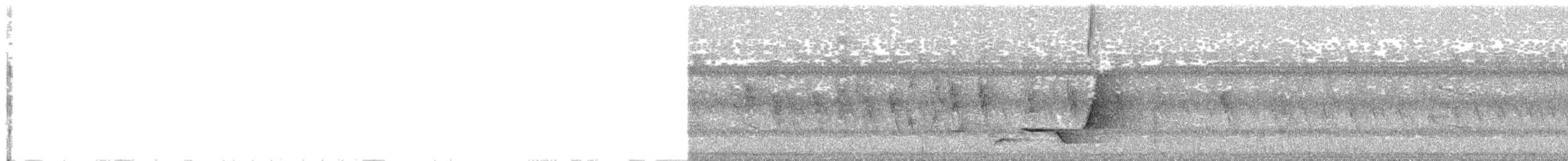 Меланезийский свистун - ML159475151