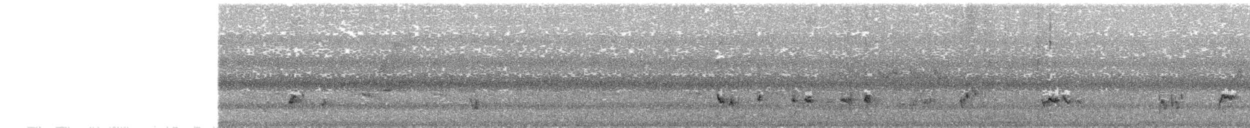 svartkronehonningeter - ML159475911