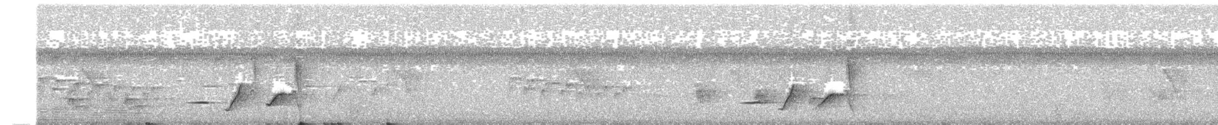 Siffleur mélanésien - ML159476961