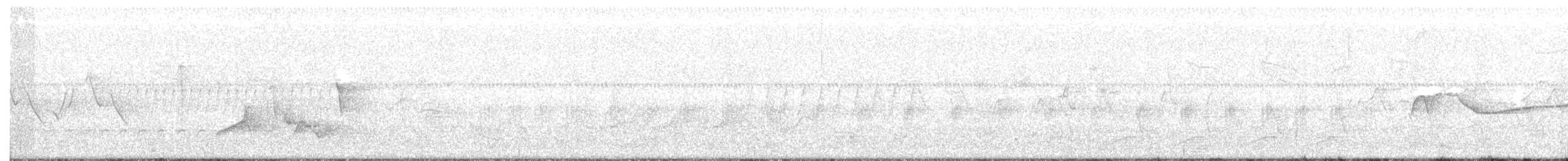 Eastern Wood-Pewee - ML159585991
