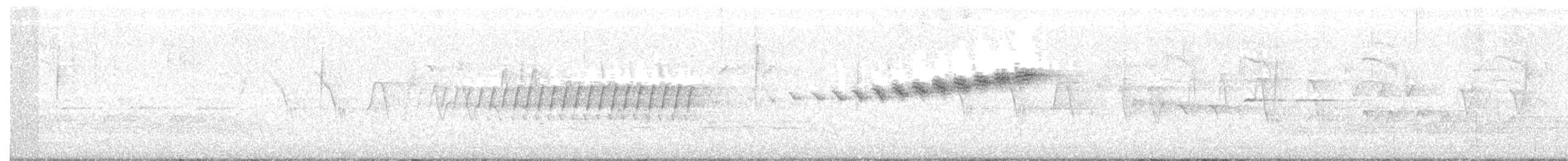 Prairie Warbler - ML159586061