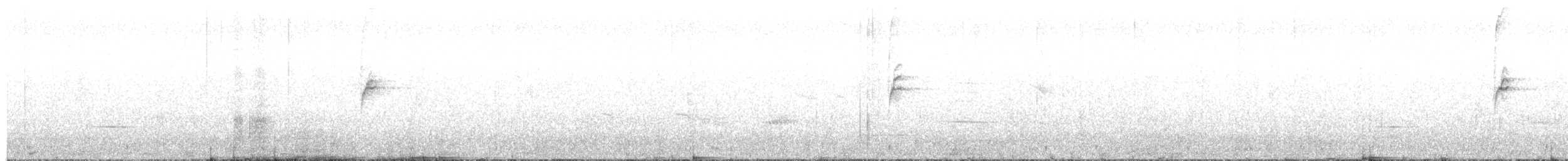 Loxopse de Kauai - ML159641121