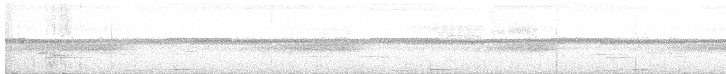 holub panamský - ML159657591