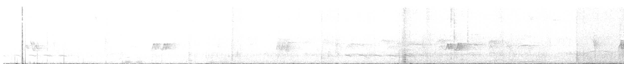 Длиннохвостая батара - ML159666311