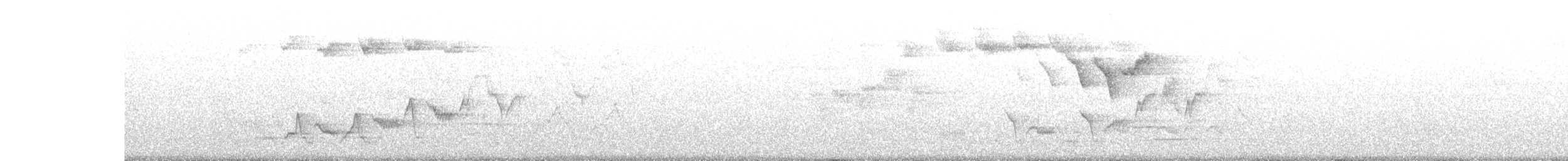 Дрізд-короткодзьоб Cвенсона - ML159681261