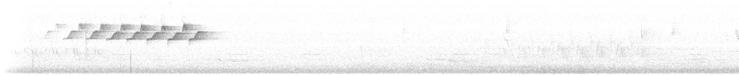 lesňáček černobílý - ML159696371