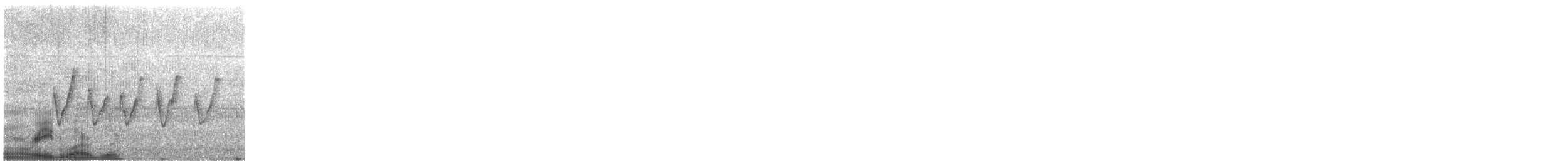 Вівчарик бурий - ML159770251