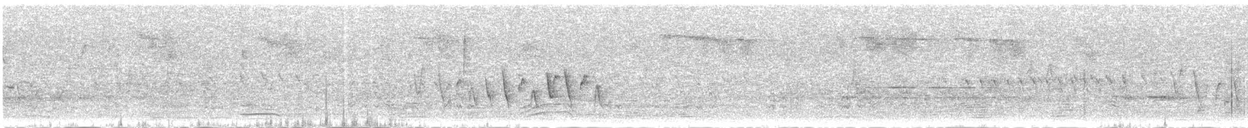 Connecticut Warbler - ML159845261
