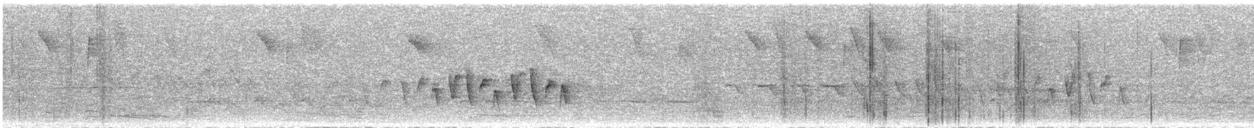 Connecticut Warbler - ML159845281