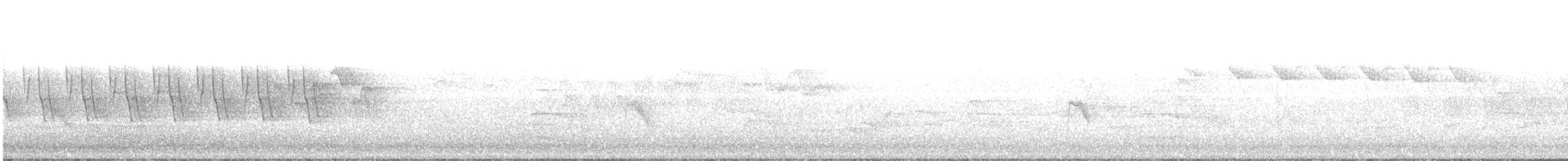 Дрізд-короткодзьоб малий - ML159851771