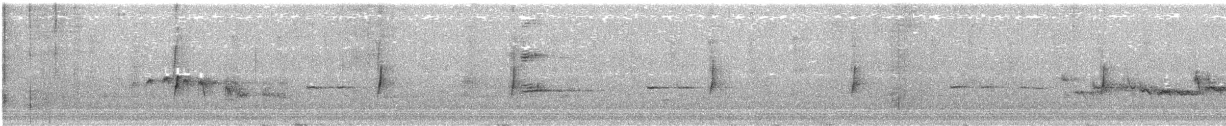 Least Flycatcher - ML159893121