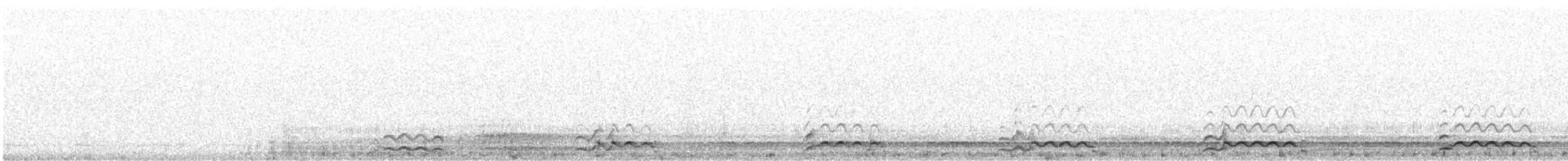 Strolaga maggiore - ML159894291