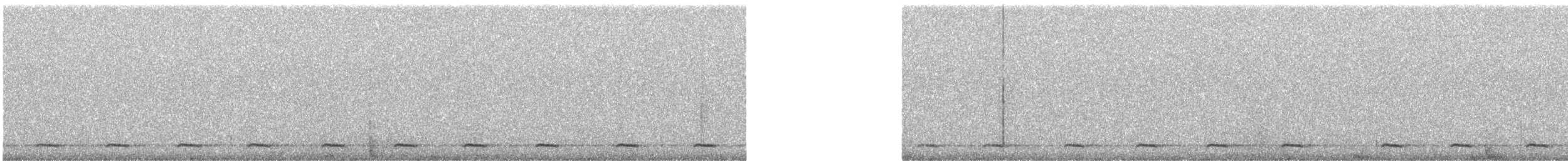 Northern Saw-whet Owl - ML159895951