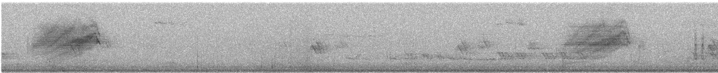 Pine Siskin - ML159901781