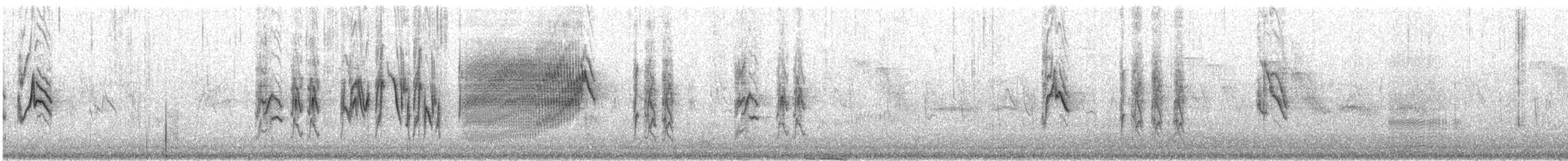 Pine Siskin - ML159903701