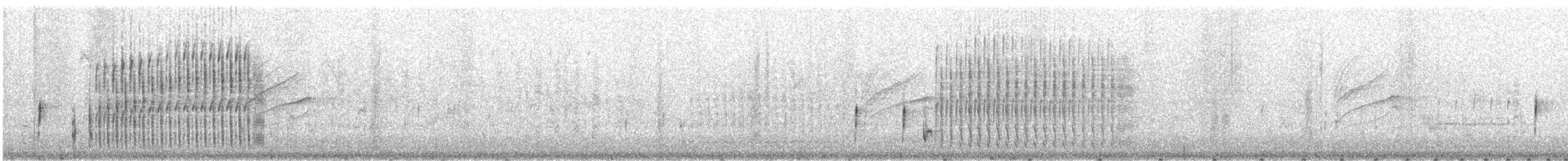 Marsh Wren - ML159903901