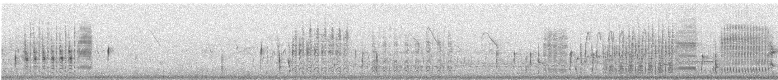 Marsh Wren - ML159904731