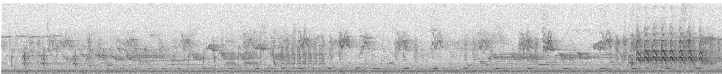 Pied-billed Grebe - ML159905321