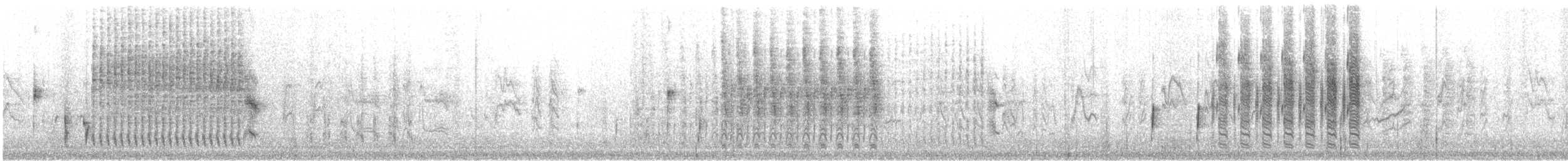 Marsh Wren - ML159908151