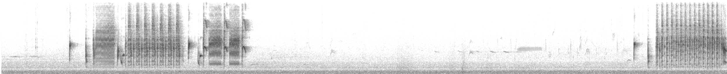 Troglodyte des marais - ML159908761